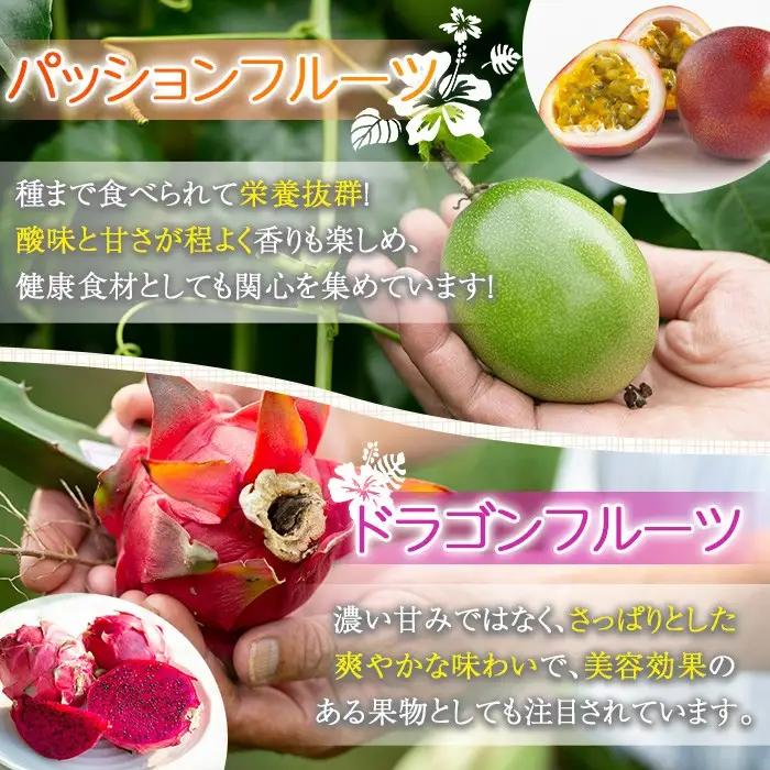 鹿児島県産 フルーツ シャーベット アイス 計12個 90g×各6個 パッションフルーツ レッドドラゴンフルーツ はまうえ果樹園 No.627 
