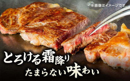 【12回定期便】くまもと黒毛和牛 サーロインステーキ 計400g（2枚）【馬刺しの郷 民守】 ステーキ サーロイン ヒレ 霜降り 熊本 熊本県   [ZBL108]