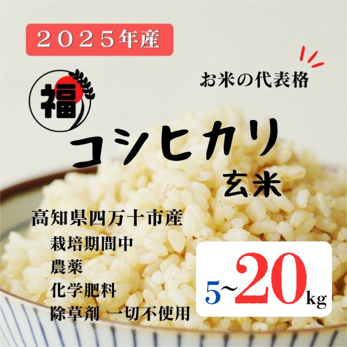 【ふるさと納税】【令和7年産】四万十市産 コシヒカリ 玄米 5kg 9kg 20kg 栽培期間中農薬・ 化学肥料・除草剤不使用 国産 こしひかり 令和7年産 2025年産 米 おこめ こめ コメ ご飯 高知 四万十 しまんと 農家直送 蕨岡の百姓 福留壯 オーガニック お取り寄せ 送料無料