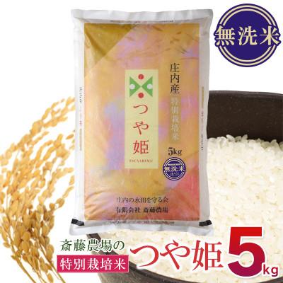 ふるさと納税 鶴岡市 【令和7年産】斎藤農場の特別栽培米つや姫無洗米5kg　[K-756]