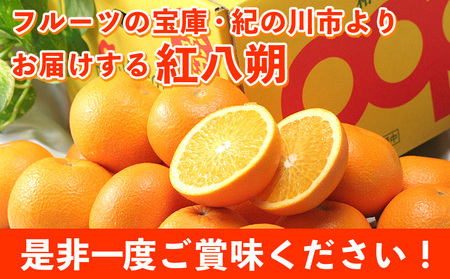 【先行予約】紅八朔(ポッポ) 約10kg JAわかやま 紀の里地域本部 