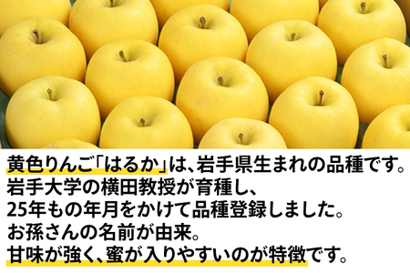 【先行予約】数量限定 わけありはるか（自家用 訳あり 純情はるか） 約5kg【冬恋研究会】 (AI010)