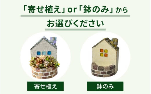 モルタル造形おうち鉢(小)と多肉植物の寄せ植え【期間限定】 | 苗 多肉 植物 季節 たにくしょくぶつ ショクブツ タニク 多種類 グリーン インテリア 自然 DIY セダム エケベリア 観葉植物 永