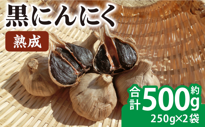 
            熟成 黒にんにく 合計約500g（250g×2袋） / 熟成 サラダ トッピング 隠し味 健康 / 大村市 / 株式会社三浦かんさく市[ACAE001]
          
