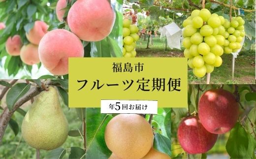 【ふるさと納税】No.2267川中島白桃から始まるフルーツ5品定期便【2025年発送】
