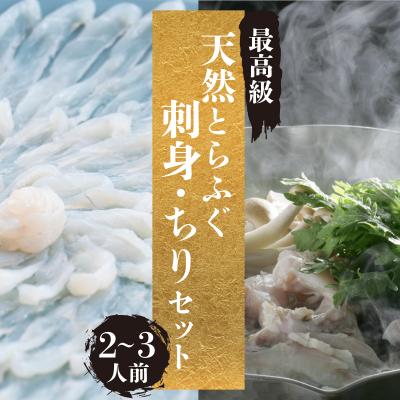 ふるさと納税 下関市 【期間限定】 とらふぐ 刺身 ちり セット 天然 冷蔵 2~3人前 ふぐ刺し ふぐ鍋 CD404