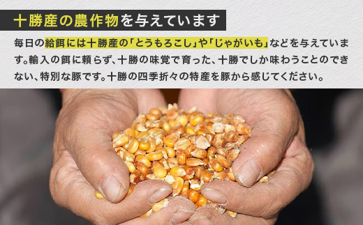 北海道十勝鹿追町産 放牧黒豚 ひき肉&切り落としセット 計1,950g 【1919】【配送不可地域：離島】【1547522】