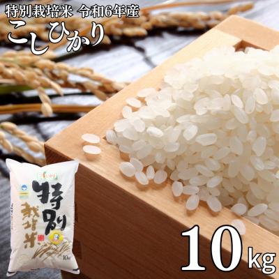 ふるさと納税 三条市 県認証 特別栽培米 コシヒカリ10kg 無洗米 令和7年産 新潟県三条市産【021S058】
