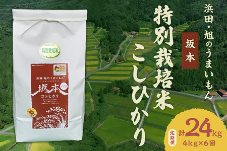 【定期便】【令和6年産】浜田・旭のうまいもん「坂本」特別栽培米こしひかり 4kg×6回 米 お米 こしひかり 特別栽培米 定期 定期便 6回 精米 白米 ごはん 新生活 応援 特産 【1021】