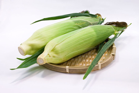 【2026年夏の予約受付開始！】小林農園の白くて甘いとうもろこし『味甘ちゃんホワイト（みかんちゃんほわいと）』4kg入り（8～9本セット）／スイートコーン注目品種を予約受付中！ 【長野県信濃町ふるさと