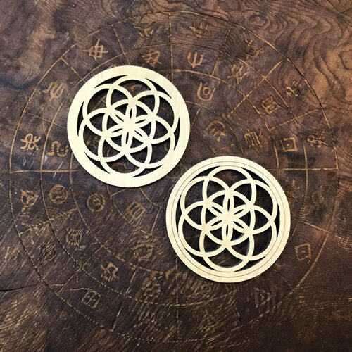【ふるさと納税】シードオブライフ パワープレート　2枚入り×2　三重県産　ひのき製／KOSHIKARI　ふるさと納税　インテリア　大紀ブランド　三重県　大紀町