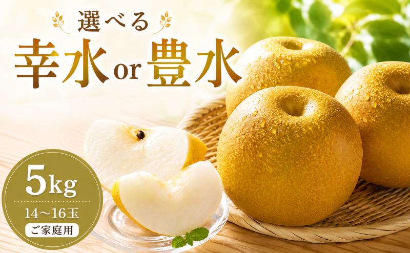 
                  梨 選べる 幸水 豊水 ご家庭用 約 5kg（14～16玉）なし ナシ 5キロ こうすい こうすい梨 果物 果実 くだもの フルーツ fruit nasi 茨城県 鉾田市 山﨑農園 
                