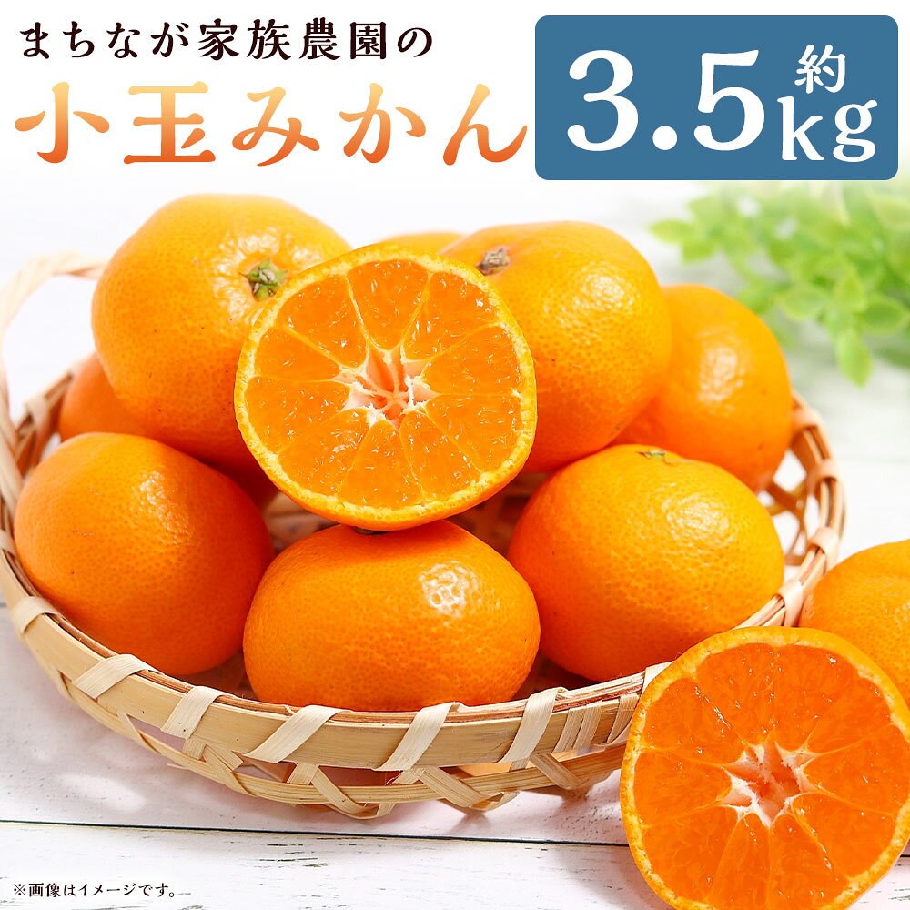 【ふるさと納税】まちなが家族農園の小玉みかん 3.5kg みかん ミカン 蜜柑 たらみかん 太良みかん 温州みかん 完熟みかん 甘熟 柑橘 国産 佐賀県産 太良町 こだわり 産地直送 贈答品 詰め合わせ 極甘 M119x1 【2026年10月下旬～2027年1月下旬発送予定】