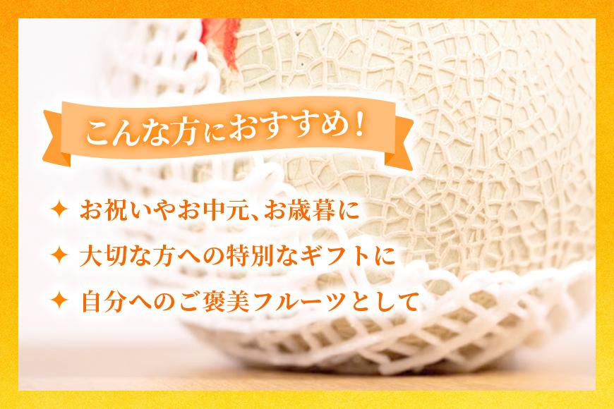 【2026年冬先行予約】宮古島産 赤肉メロン 1玉 【農家直送】 ＜とみお農園＞（TN01）