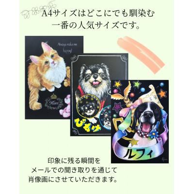 ふるさと納税 王寺町 手描き・オイルパステルで描く「オーダーメイド・ペット肖像画」A4サイズ |  | 02