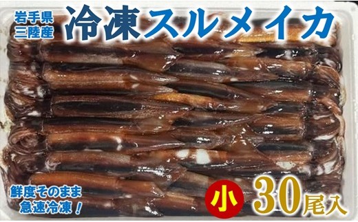 【鮮度そのまま急速冷凍】 冷凍スルメイカ 小サイズ 30尾入り イカ いか 刺身 いかめし イカの塩辛