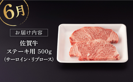 【3回定期便】佐賀牛 春の定期便 堪能コース 【桑原畜産】[NAB102]佐賀牛 牛肉 肉 佐賀牛 牛肉 A5 佐賀牛 牛肉 A4 佐賀牛 牛肉 a5 佐賀牛 牛肉 a4 佐賀牛 牛肉 堪能 佐賀牛 