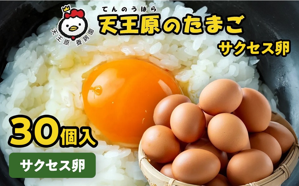 【天王原のたまご】サクセス卵30個入り
