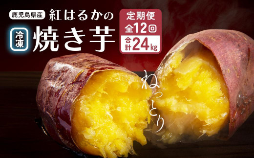 
【定期便全12回】紅蜜芋　紅はるかの焼き芋定期便2kg
