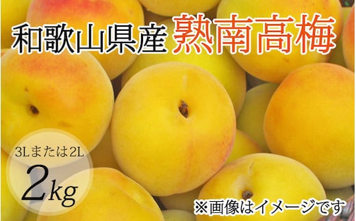 
										
										【梅干・梅酒用】（3Lまたは2L－2Kg）熟南高梅＜2025年6月上旬～7月上旬ごろに順次発送予定＞ フルーツ 果物 くだもの 食品 人気 おすすめ 送料無料【art008A】
									