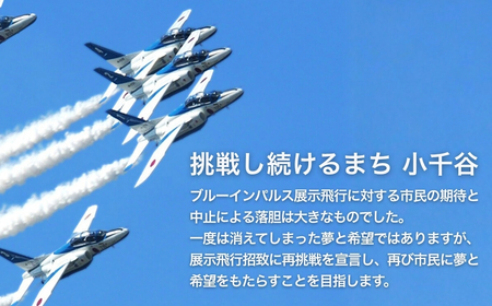 小千谷市 自衛隊 ブルーインパルス 駐車チケット 日本酒セット ｜ ブルー  Blue Impulse オリジナルラベル