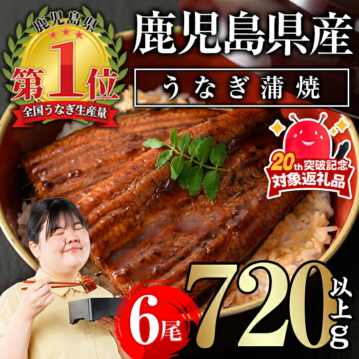 【ふるさと納税】無投薬！鹿児島県産うなぎ蒲焼セット(計720g以上・ 約120g×6尾) タレ・山椒付き 鰻 うなぎ 蒲焼 うな重 ひつまぶし ご褒美【西日本養鰻】