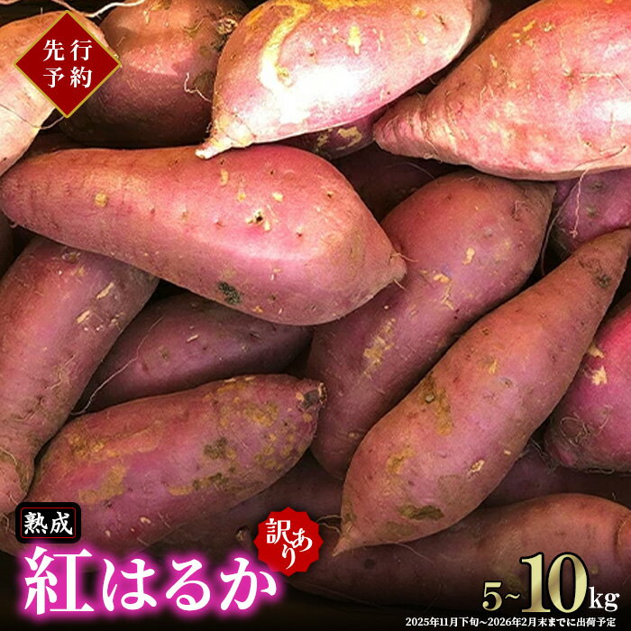 【ふるさと納税】【先行予約】【訳あり】茨城県産熟成さつまいも「紅はるか」5kg~10kg【2025年11月下旬頃～2026年2月末までに出荷予定】【さつまいも 紅はるか 芋 サツマイモ 甘い 焼き芋 スイートポテト 茨城県産 大容量 不揃い ねっとり】