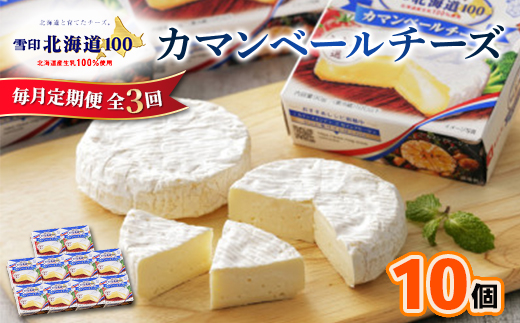 【毎月定期便】雪印北海道 カマンベールチーズ 1箱(90g×10個入り)全3回【配送不可地域：離島】【4014034】