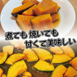 かぼちゃ 2玉 約3～4kg 品種おまかせ 南瓜 夏野菜 カボチャ 南瓜 カボチャ 南瓜