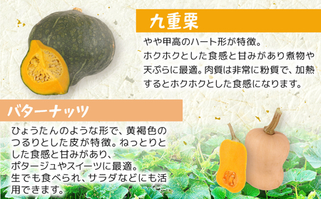 かぼちゃ 詰め合わせ 約3~5玉 ｶﾎﾞﾁｬ ｶﾎﾞﾁｬ ｶﾎﾞﾁｬ ｶﾎﾞﾁｬ ｶﾎﾞﾁｬ ｶﾎﾞﾁｬ