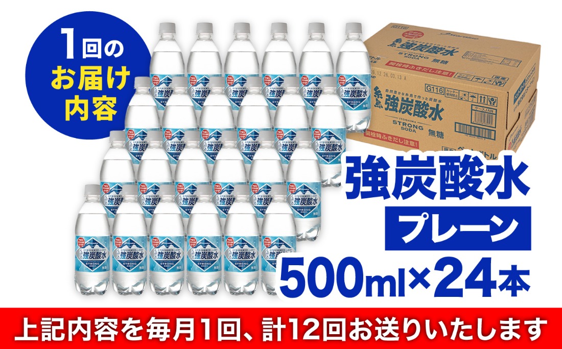 【全12回定期便】強炭酸水 プレーン 500ml × 24本 糸島市 / スターナイン 炭酸水 国産 [ARM011] 炭酸水 500ml 24本 送料無料 プレーン 国産 炭酸 常温