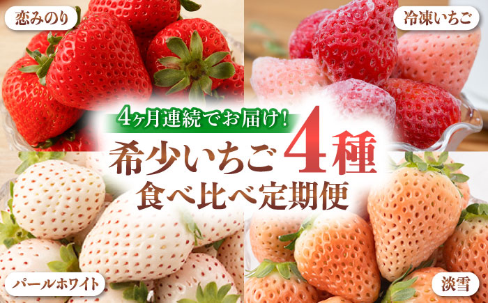 【全4回定期便】希少いちご（恋みのり・パールホワイト・淡雪・冷凍いちご）食べ比べ定期便 / フルーツ / 佐賀県ふるさと納税 [41AAZZ003]