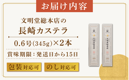 長崎 カステラ 2本（10切/本）《長与町》《文明堂総本店》 [EAK026]