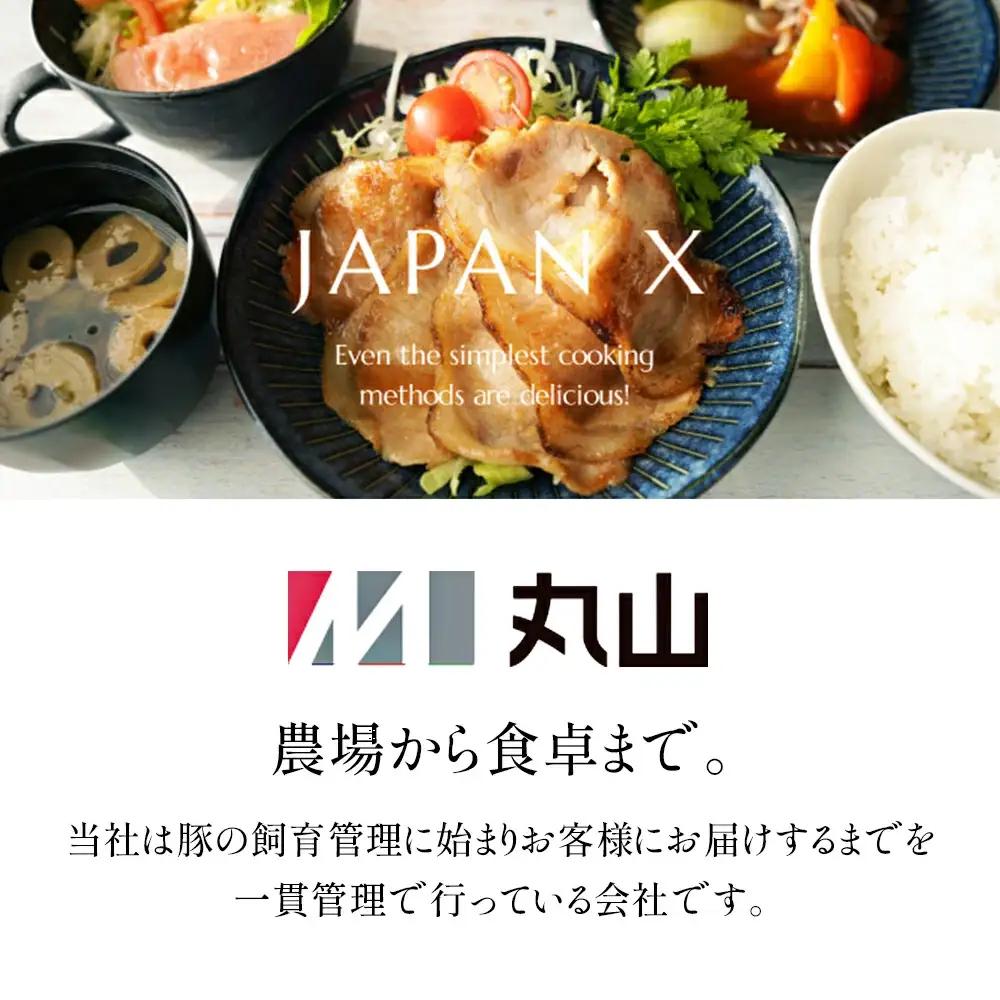 JAPAN X 味付ロース5点セット 生姜焼き5パック　豚肉 豚 ブランド豚 小分け ロース 豚ロース 味付 時短 生姜焼き 山賊焼き ジャパンエックス 蔵王 人気　【04301-0883-1】