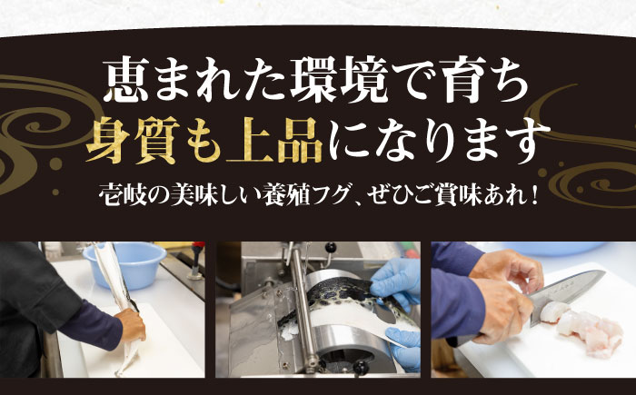 とらふぐ 刺身  2～3人前《壱岐市》【なかはら】[JDT003] ふぐ フグ 河豚 とらふぐ トラフグ 刺身 刺し身 お刺身 ふぐ刺し フグ刺し てっさ 19000 19000円