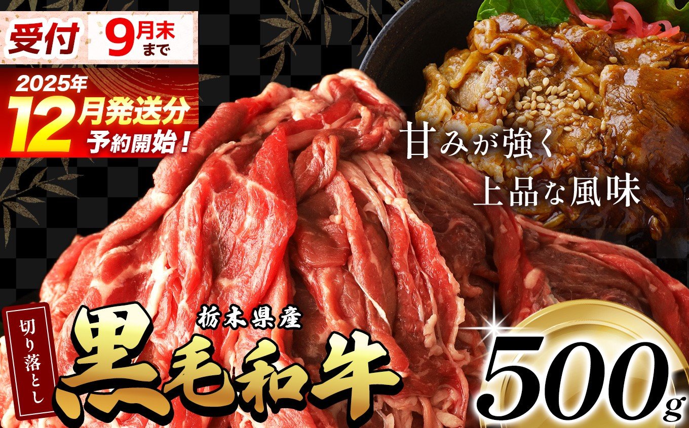 
            【12月発送】栃木県産黒毛和牛切り落とし 500g  | 霜降り 肉 和牛 黒毛和牛 栃の木黒牛 切り落とし とろける 品質 柔らかく 銘柄牛 美味しい 特産品 ふるさと 納税 栃木県 那珂川町 送料無料
          