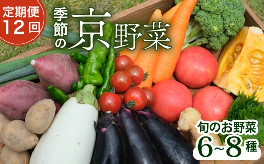 【定期便12回】【産地直送】旬のお野菜詰め合わせ 6～8種類 ( 京野菜 野菜 お野菜 やさい セット 野菜セット 詰め合わせ 詰め合わせセット 季節 旬 旬野菜 産地直送 栄養 安心 新鮮 おすすめ きよしファーム 南丹市 南丹 京都府 京都 12ヶ月 12か月)