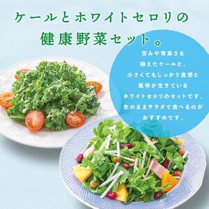 ケール(５パック)とホワイトセロリ（５パック）の健康野菜セット