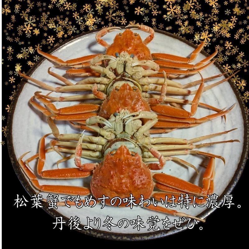 【先行予約】京丹後市より茹でたて プロトン凍結 【 訳あり 】 茹でこっぺがに 香箱ガニ 10匹 蟹 かに カニ 釜茹で こっぺがに 訳あり 訳アリ 京都 京丹後　UM00010