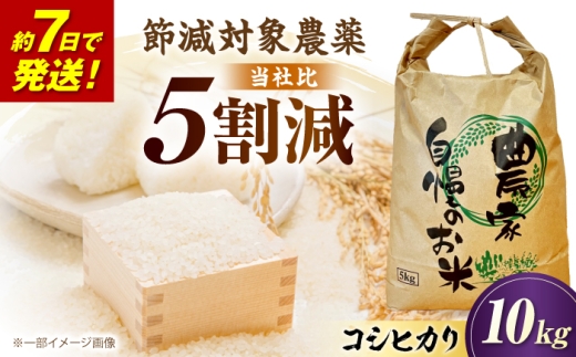 【スピード発送】【令和8年産 新米】 米 コシヒカリ 10kg 環境こだわり農産物  滋賀県長浜市/狩野農園 [AQDK002] 米 白米 こしひかり コシヒカリ 10kg 10キロ お米 滋賀県 長浜市 おすすめ 人気 精米 こだわり 艶 甘み 粘り ふっくら もっちり おいしいお米 おにぎり ご飯 白飯  炊き込みご飯 定食 和食 日本食 こだわり米 ギフト 贈答 贈り物 精米したて