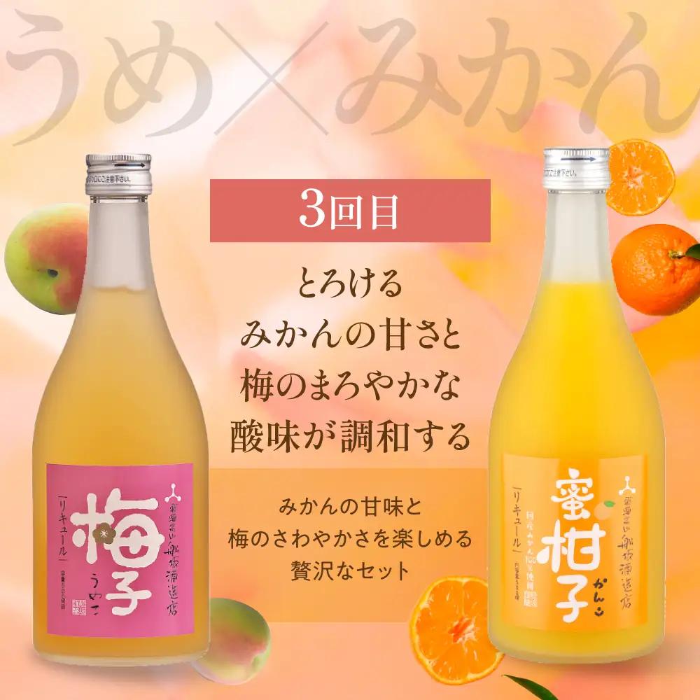 【定期便】全3回 月ごとに変わる果実のごほうび ゆず・梅・みかんの果実の香りにときめく3カ月 ❘ リキュール 果実酒 飲み比べセット 酒 FB110