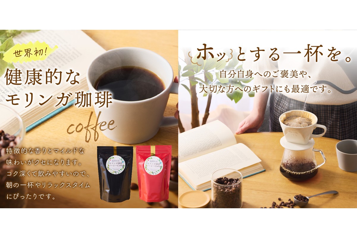 【A5-436】福岡県産モリンガ珈琲