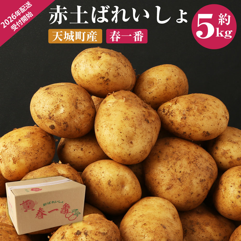 【ふるさと納税】【先行受付】徳之島 天城町産 赤土ばれいしょ 新じゃが【春一番】5kg L～2L 混合サイズ ジャガイモ じゃがいも ばれいしょ バレイショ お手軽 送料無料 国産 野菜 九州産 鹿児島県産 新じゃが 春 F-4-N
