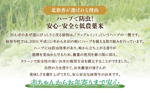 令和8年産 妹背牛産【北彩香（ゆめぴりか）】玄米10kg 2026年7月発送