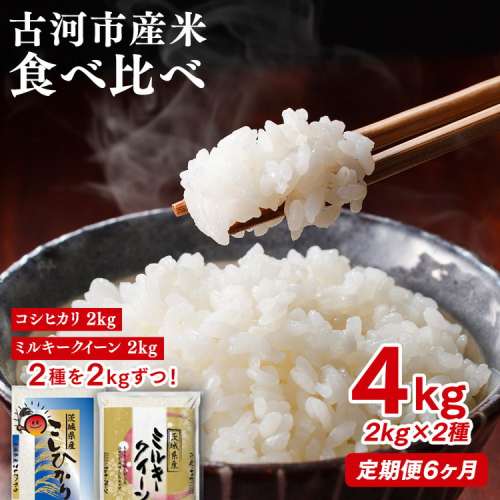 【定期便 6か月】令和7年産 古河市のお米食べ比べ コシヒカリ・ミルキークイーン 2kg×2種類｜米 コメ こめ ごはん ご飯 ゴハン 白飯 単一米 国産 コシヒカリ こしひかり ミルキークイーン 食べ比べ 2kg×2 4kg 定期便 6ヶ月 6回 茨城県 古河市_DP50