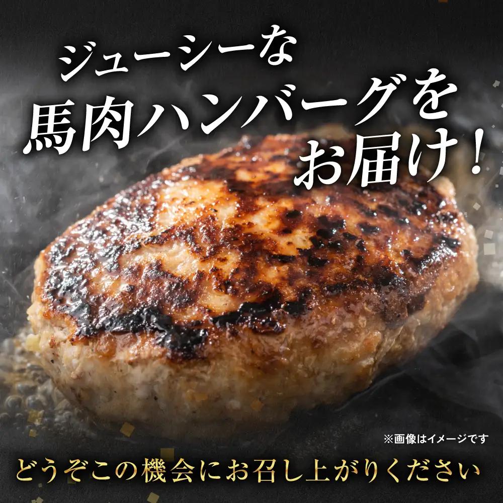 【定期便6回】馬肉ハンバーグ 150g×10個 ハンバーグ おかず 惣菜 洋食 お肉 肉 にく 馬肉 熊本県 八代市
