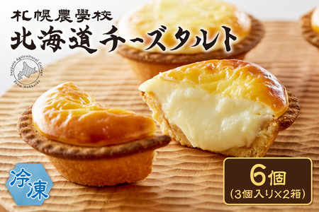 北海道チーズタルト　６個｜ 札幌農学校 タルト
