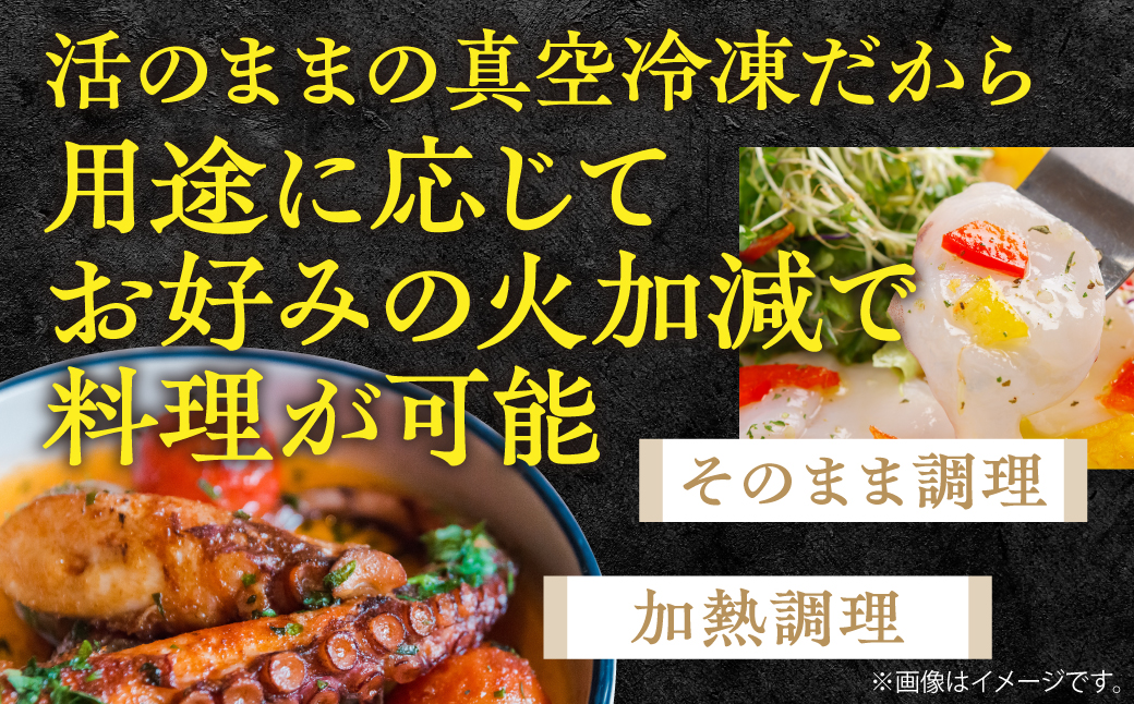 鵡川漁協発！活水生蛸足冷凍（約1kg） MKWV004