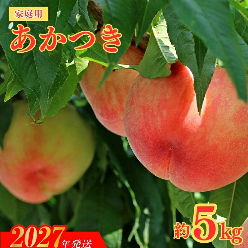 【ふるさと納税】【ご家庭用】福島のもも　あかつき　約5kg【2027年発送】No.2155 福島県 福島市 株式会社幸青果 桃 白桃