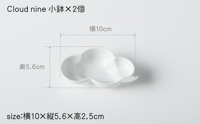 肥前吉田焼 小鉢 皿 Cloudnine 2個セット 【224】 NAU001